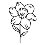 Personalized Line-Art Pet Photo Birth Flower Tattoo Sticker with Name Party Birthday Gift for Dog Cat Pet Lover Owner - CALLIE