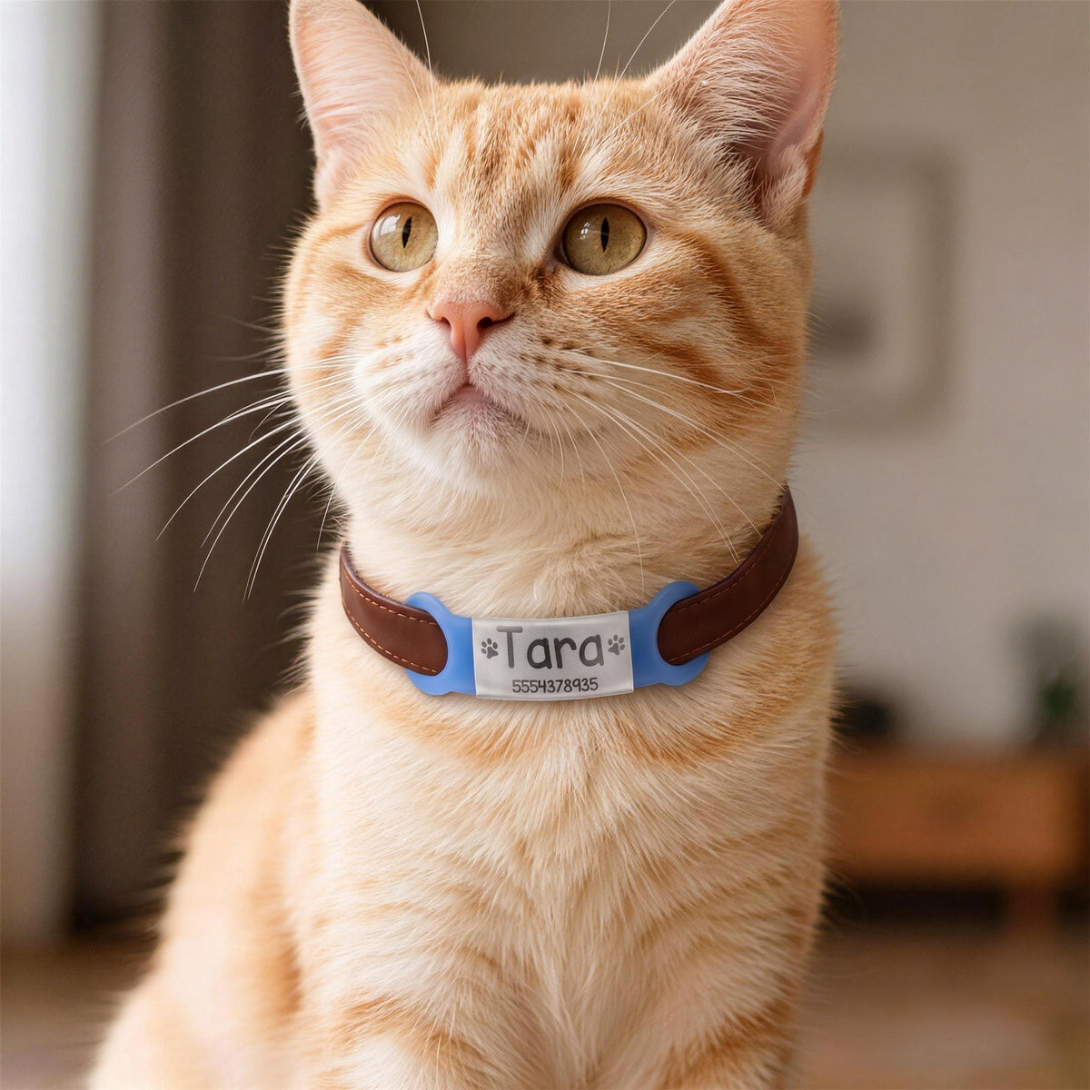Personalized Silicone No-Slip Silent Slide on Pet Collar ID Tag with Engraved Name Phone Number Text Pet Supplies Birthday Gift for Pet Lovers Owners