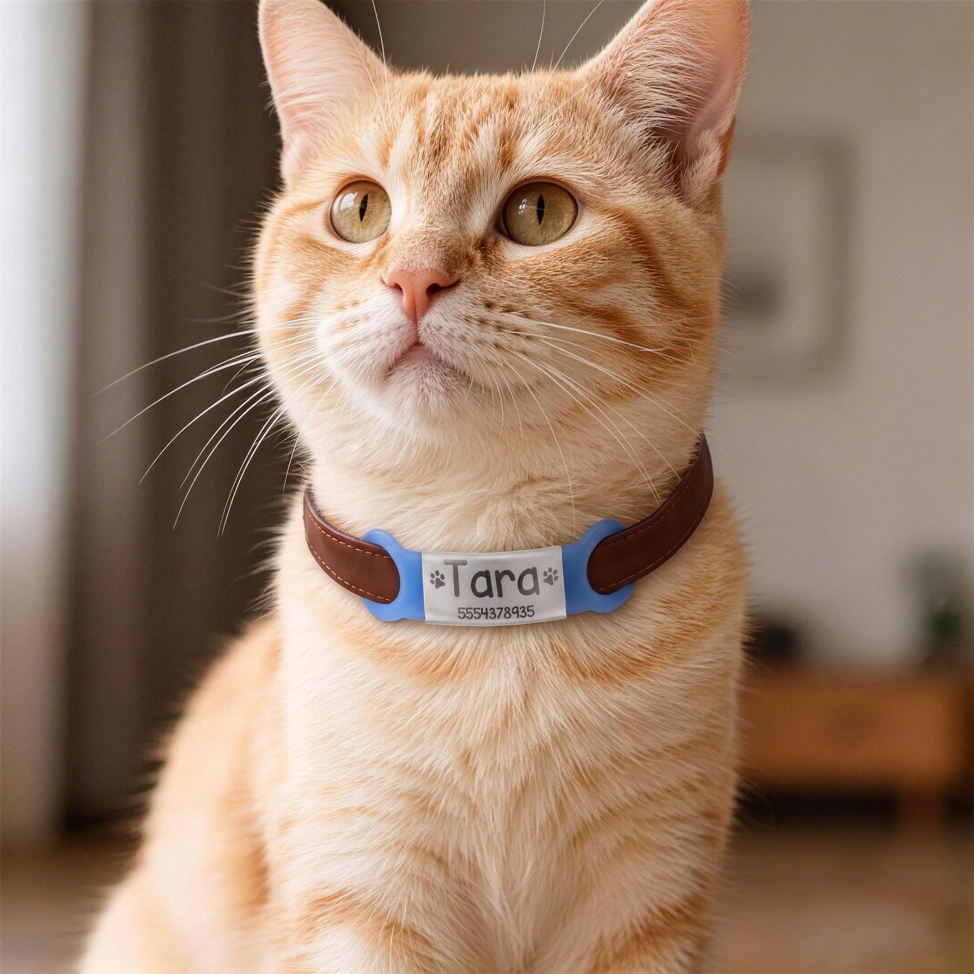 Personalized Silicone No-Slip Silent Slide on Pet Collar ID Tag with Engraved Name Phone Number Text Pet Supplies Birthday Gift for Pet Lovers Owners