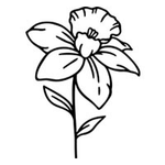 Personalized Line-Art Pet Photo Birth Flower Tattoo Sticker with Name Party Birthday Gift for Dog Cat Pet Lover Owner - CALLIE