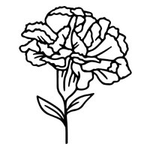 Personalized Line-Art Pet Photo Birth Flower Tattoo Sticker with Name Party Birthday Gift for Dog Cat Pet Lover Owner - CALLIE