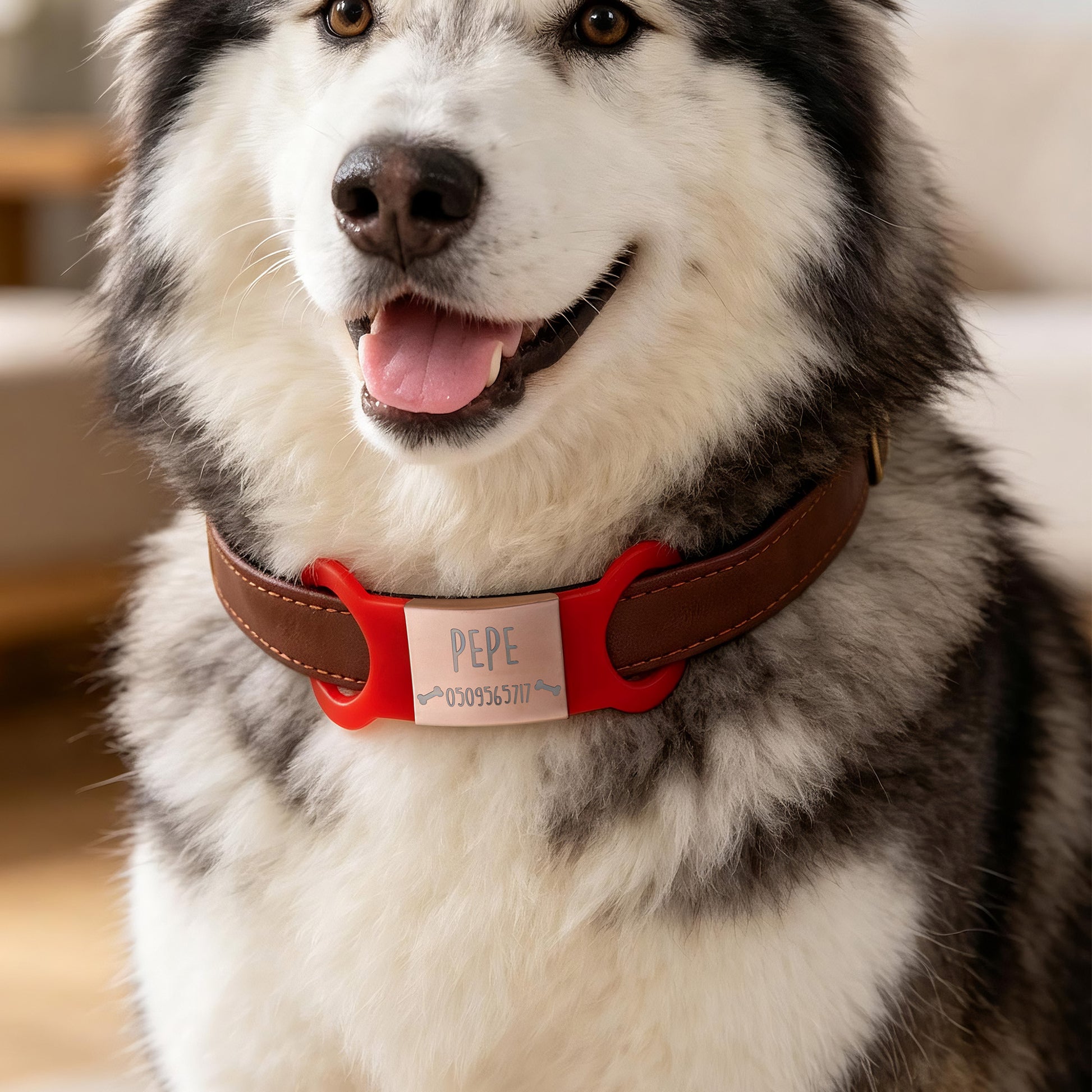 Personalized Silicone No-Slip Silent Slide on Pet Collar ID Tag with Engraved Name Phone Number Text Pet Supplies Birthday Gift for Pet Lovers Owners