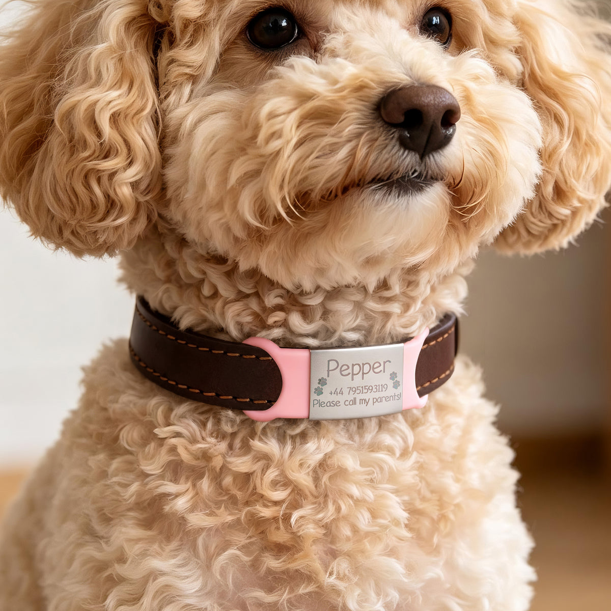 Personalized Silicone No-Slip Silent Slide on Pet Collar ID Tag with Engraved Name Phone Number Text Pet Supplies Birthday Gift for Pet Lovers Owners