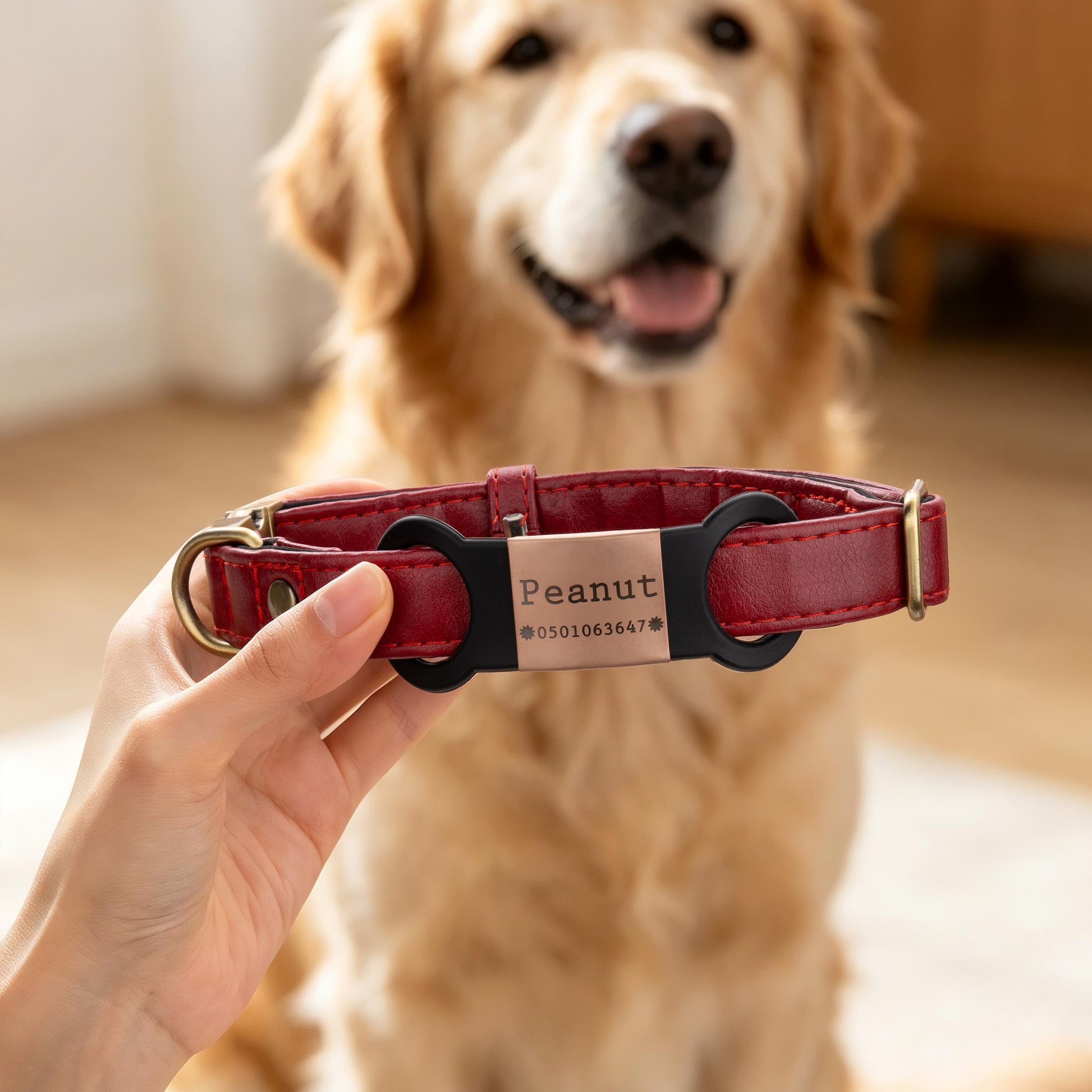 Personalized Silicone No-Slip Silent Slide on Pet Collar ID Tag with Engraved Name Phone Number Text Pet Supplies Birthday Gift for Pet Lovers Owners