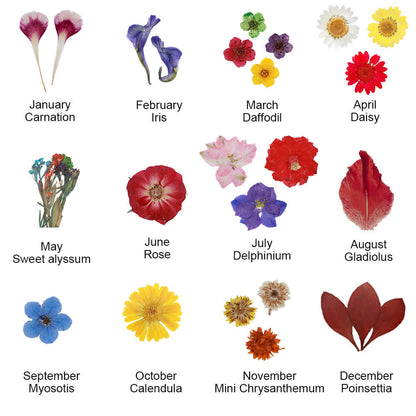 Birth Month Dried Flower Drop Necklace
